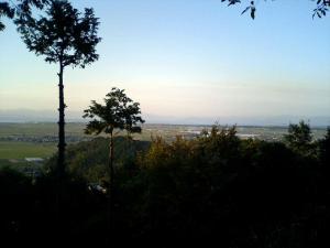 �V�炩��̐�i