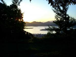 �V��Ղ���̐�i