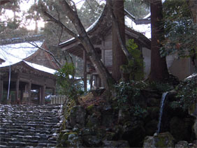 �ቻ�ς̋���