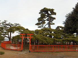 �쏼�u����̏��v